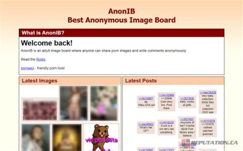 anon porn board|hc